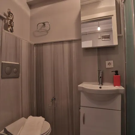 Balat Old House Apartment *