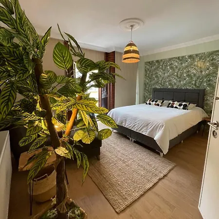 Apartment Balat Old House